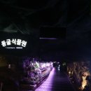 광명꽃수족관