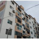 옥룡 대웅맨션 이미지