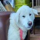 무수막길 이미지