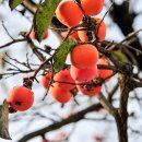 건강한공인중개사사무소 이미지