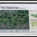 월성주유소 이미지