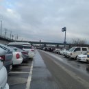 남대천강릉교밑 이미지