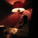 멋쟁이사 이미지