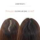 관악구두피문신 갓스칼프에서 직접 받아본 리얼 후기