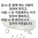 가정에서 꼭 필요한 비상약 이미지