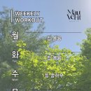 모브핏(Mauve Fit) 이미지