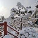 라마리차 이미지