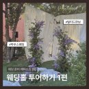 [Wedding #6] 웨딩홀 투어하기 - 틸티드 한남 후기