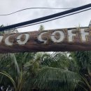 CoCo멍(코코멍) 이미지