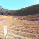 청송공인중개사사무소 이미지