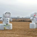 대신목장 이미지