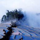 중국 운남성 원양(元陽)의 안개낀 다랭이 논, 밭... 이미지