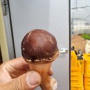 주식회사 더원 이미지