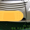 멘토카프로 이미지