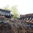 월성동김밥 이미지