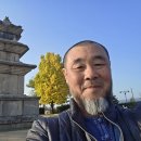 국립경주박물관 야외, 고선사터 삼층석탑 /국보 이미지