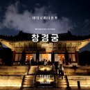 중국어_처음(야간) | 창덕궁 야간개장 예약을 놓쳤다면? 예약 필요 없는 창경궁 야간개장 후기