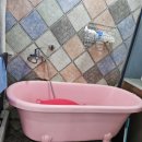 사랑으로 동물병원 이미지