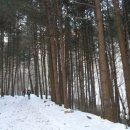 대불리목장 이미지