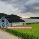 삼삼공인중개사사무소 이미지