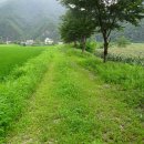 매화마을길 이미지