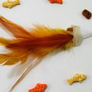 디테일 동물의료센터 이미지