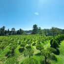 시선목장 이미지