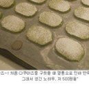 베이커리후 이미지