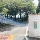 화개초등학교 이미지