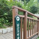 무궁화정비 | 서울 가볼만한 곳, 무궁화 핀 약수역 성곽길 따라 걷는 남산자락숲길 여행