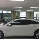 에스(S)게러지 이미지