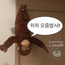 (주)아신투어 | 5월의 시카고-미시건 여행