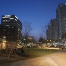 서울 마포구 핫플레이스 벚꽃 명소 공덕역 대흥역 경의선 숲길