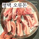 평택 소사벌 고기집 찐맛집 오류돈 내돈내산 솔직후기