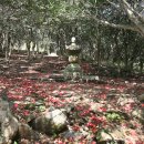 강진 바스락길 이미지