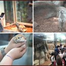 국립축산과학원 동물병원 이미지