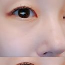 남블리뷰티 네이버블로그