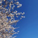 경안천로256번길 이미지