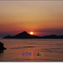 낙조 Daum카페