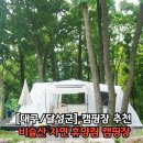 비슬산 숲속 오토캠핑장 | [대구/달성군] 비슬산 숲속 오토캠핑장/ 자연휴양림 캠핑장