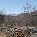 양산배내골 사과정보화마을 | 양산펜션 추천 배내골 오늘리버 독채펜션으로 힐링 여행 떠나요!