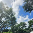 다온초등학교 | 세종 다온숲 수영장 평상 이용 후기 아이들과 여름 물놀이하기 좋은 곳