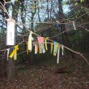 무등산(호남12회) 이미지