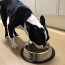 빵근맘마 이미지