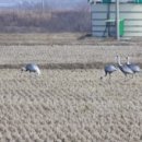 금양공인중개사사무소 이미지