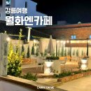 강릉중앙시장근처카페 야외 테이블이 예쁜 월화엔 다녀온 후기
