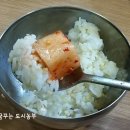 허시정 이미지