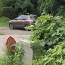 제원목장 이미지