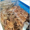 동해안회센타 이미지