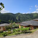 고와라민박 이미지